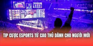 Tip Cược ESports Từ Cao Thủ Dành Cho Người Mới